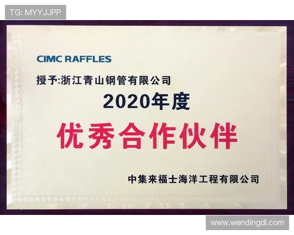 问鼎娱乐集团官网的合作伙伴与品牌联盟介绍助力企业拓展合作新机遇